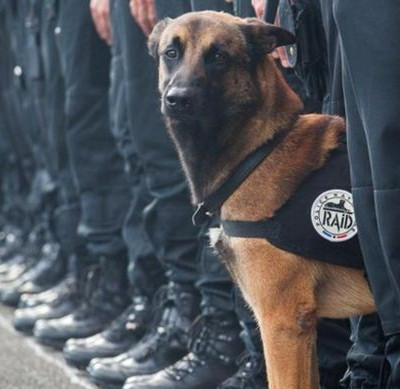 Επίθεση Παρίσι: Θύμα των τρομοκρατών και ο Ντίζελ