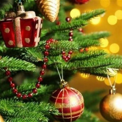 4 tips για να κρατήσετε «ζωντανό» το φυσικό χριστουγεννιάτικο δέντρο