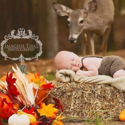 Ελάφι κάνει photobomb σε φωτογράφιση βρέφους και ιδού το αποτέλεσμα (εικόνες και βίντεο)