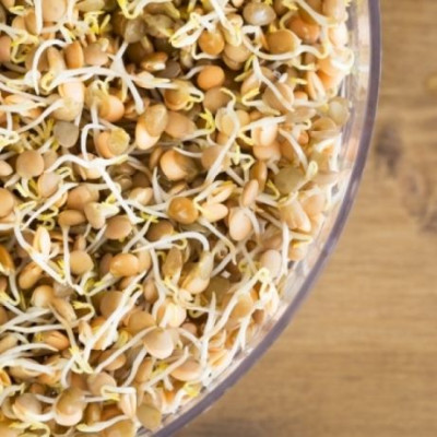 Φύτρα: Νέα μόδα ή αναγκαία τροφή;