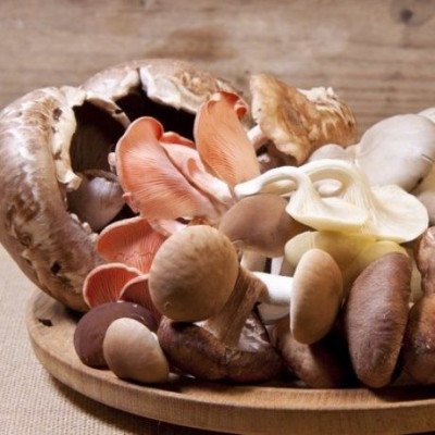 Τα μανιτάρια επιστρέφουν στο Chefi