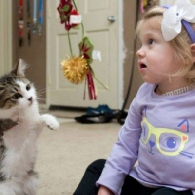 Η δίχρονη Σκάρλετ έχει χάσει το ένα της χέρι – το ίδιο και η γάτα της (pics&vid)