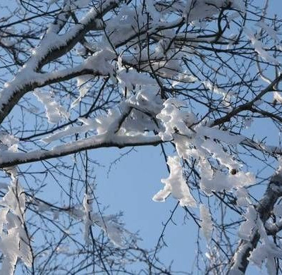 Καιρός: Έντονα καιρικά φαινόμενα τις επόμενες ημέρες – Πού και πότε θα χιονίσει
