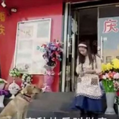 Δεν φαντάζεστε τι θέλει αυτός ο σκύλος- Δείτε το συγκινητικό βίντεο