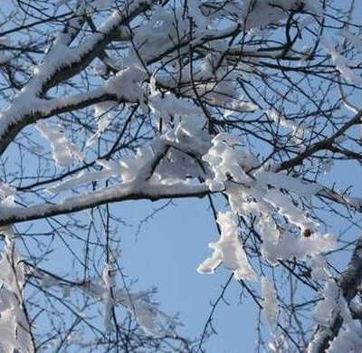 Καιρός: Καθαρά Δευτέρα με χιόνια και καταιγίδες – Πού θα κάνει Κούλουμα η... κακοκαιρία