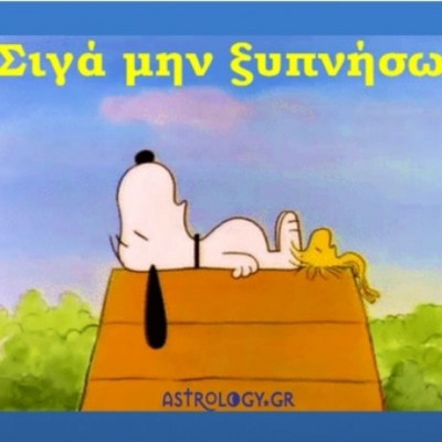 Η τυπική ημέρα ενός τυπικού Ιχθύ...