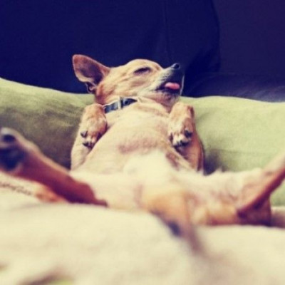 Μεσημεριανός ύπνος: Πόσο πρέπει να διαρκεί για να μη βλάψει την καρδιά