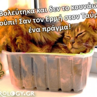 10 χαρακτηριστικές ατάκες που θα ακούσεις από έναν άνθρωπο με Ερμή στον Ταύρο!