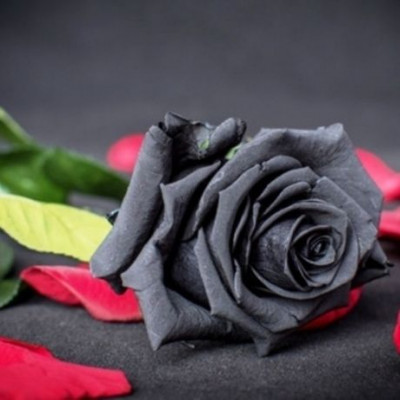 Αυτοί είναι οι συνδυασμοί ζωδίων για μια σχέση αγάπης - μίσους