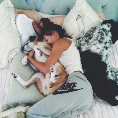 Μήπως ο σκύλος σου δεν αγαπά τις αγκαλιές; Οι επιστήμονες μίλησαν...