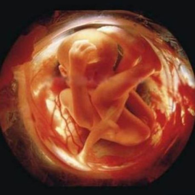 «Πώς τρέφεται το έμβρυο; Πώς αναπνέει; Μπορεί να γευτεί;» (βίντεο)