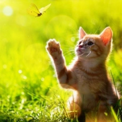 Έτσι πρέπει να ζεις τη ζωή σου σύμφωνα με το ζώδιό σου