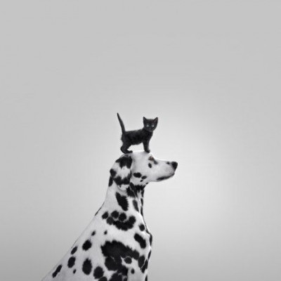 #saveyourskin: Σώσε το δέρμα σου με 3 απλά βήματα!