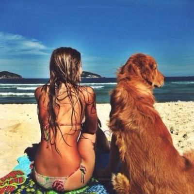 Πώς θα προστατέψεις τον σκύλο σου τις ημέρες του καύσωνα;