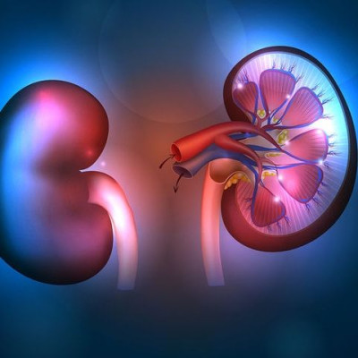 Έξι σημάδια ότι η υγεία των νεφρών σας κινδυνεύει