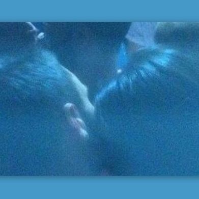 Φουρέιρα: Μιλάει πρώτη φορά για τις φωτογραφίες με τον νικητή της Eurovision, Mans Zermelow