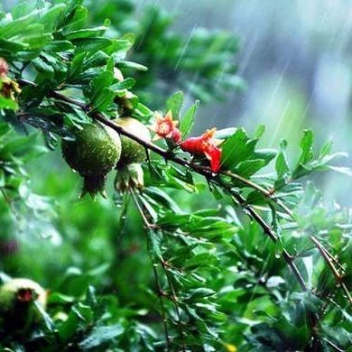 Καιρός: Κυριακή με... μπουρίνια και πτώση της θερμοκρασίας