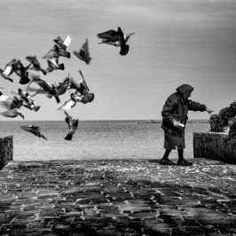 Φως γειτονικό... Komsunun Isigi...: έκθεση στη Φωτογραφική Εταιρεία Μυτιλήνης