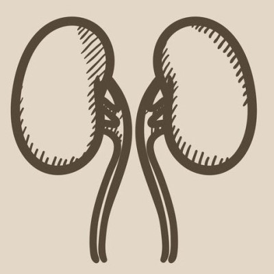 Η δίαιτα που προστατεύει από τη χρόνια νεφροπάθεια