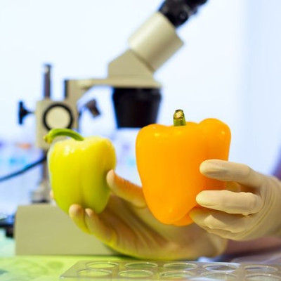 Ποια φρούτα και λαχανικά έχουν τα περισσότερα φυτοφάρμακα