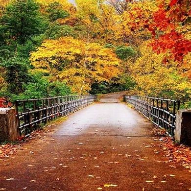Τι θα συμβεί στις 17.21 την Πέμπτη - Μας αφορά όλους!