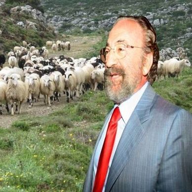 Οριστικό: Εκτός του διαγωνισμού για τις τηλεοπτικές άδειες ο Καλογρίτσας