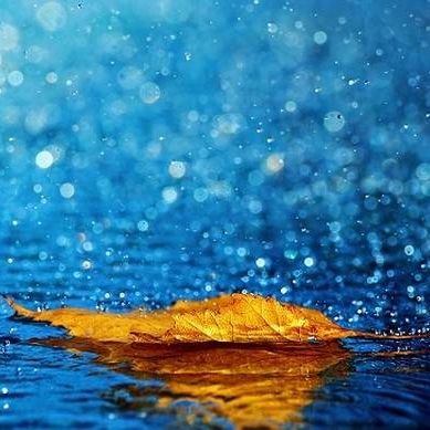 Καιρός: Οπλιστείτε με... ομπρέλες από το απόγευμα - Δείτε πού θα βρέξει