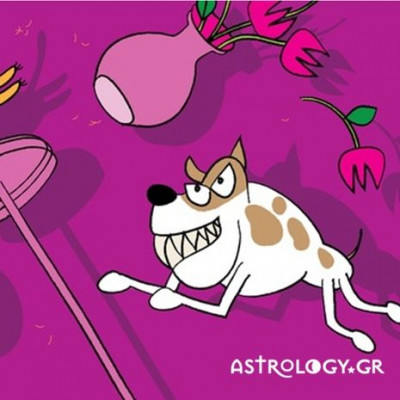 Γιατί δεν πρέπει να τα βάλεις με ένα ζώδιο