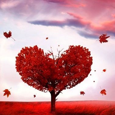 Ερωτικές Προβλέψεις για όλα τα Ζώδια, 7/11