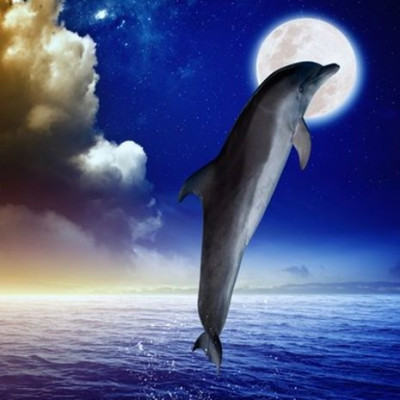 Αστρολογικό δελτίο για όλα τα ζώδια, από 11/11 έως 15/11