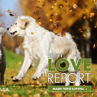 Ερωτικές Προβλέψεις για όλα τα Ζώδια, 20/11