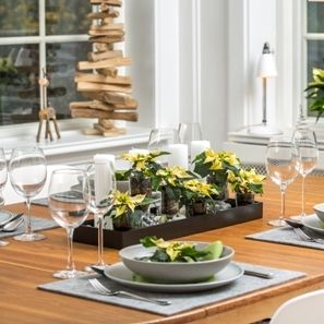 Ιδέες για τη διακόσμηση του εορταστικού τραπεζιού με Αλεξανδρινά