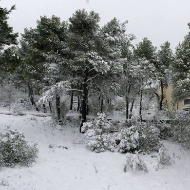 Καιρός: Προειδοποίηση «βόμβα» από την ΕΜΥ - Ο χιονιάς ήρθε για να μείνει!