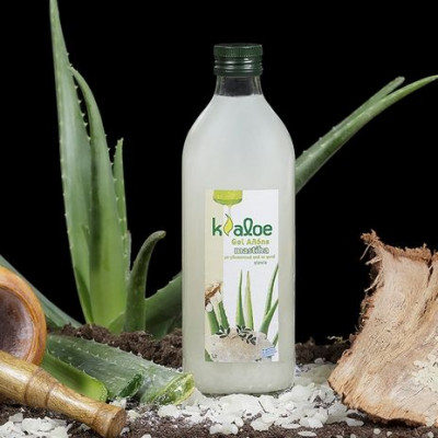 Χυμός Αλόης με Μαστίχα Χίου: Η υπερτροφή για κάθε ζώδιο