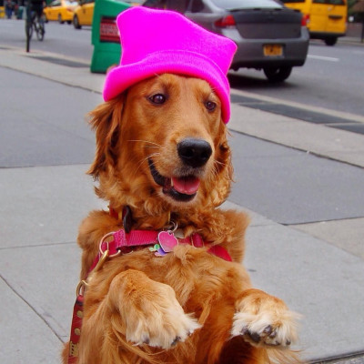 Η Loubie έχει το δικό της Instagram και αγκαλιάζει τους περαστικούς στους δρόμους της Νέας Υόρκης