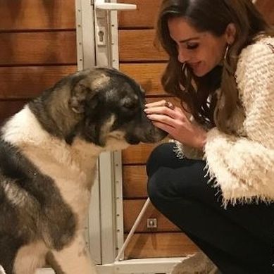 Δέσποινα Βανδή: Το αδέσποτο που υιοθέτησε το καλοκαίρι (φωτό)