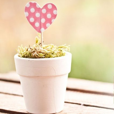 Ερωτικές Προβλέψεις για όλα τα Ζώδια, 28/2