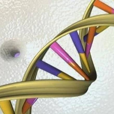 Ο «σκληρός δίσκος» του μέλλοντος θα είναι το… DNA