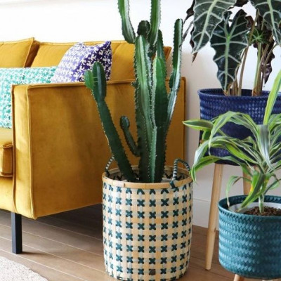 Αυτά είναι τα 4 πράγματα που πρέπει να καθαρίσεις σπίτι σου τώρα την άνοιξη