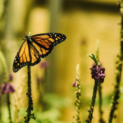 Ημερήσιες προβλέψεις για όλα τα Ζώδια, 23/3