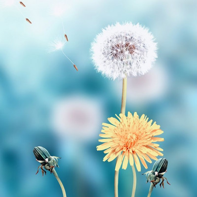 Ημερήσιες Προβλέψεις για όλα τα ζώδια, 25/3