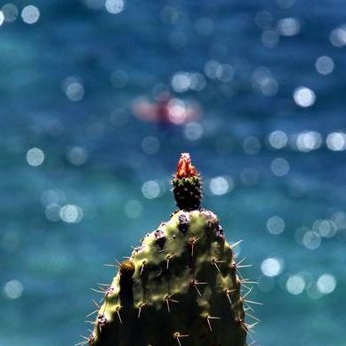 Καιρός: Ήλιος και άνοδος της θερμοκρασίας την Κυριακή - Ομπρέλες από... Δευτέρα