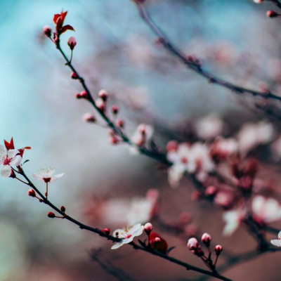 Ημερήσιες Προβλέψεις για όλα τα ζώδια, 05/4