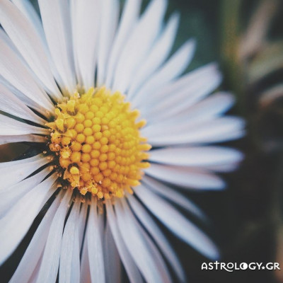 Ημερήσιες προβλέψεις για όλα τα ζώδια, 13/4