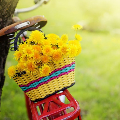 Ημερήσιες προβλέψεις για όλα τα ζώδια, 21/4