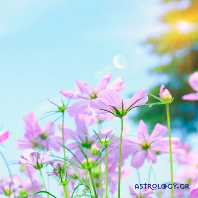 Ημερήσιες Προβλέψεις για όλα τα ζώδια, 23/4