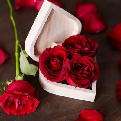 Ερωτικές Προβλέψεις για όλα τα Ζώδια, 24/4