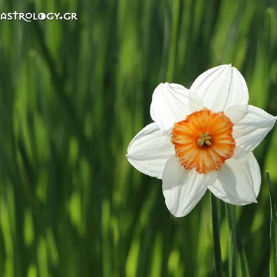 Ημερήσεις Προβλέψεις για όλα τα Ζώδια, 26/4