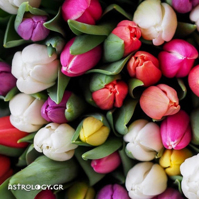 Ημερήσιες προβλέψεις για όλα τα Ζώδια, 1/5