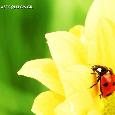 Ημερήσιες προβλέψεις για όλα τα Ζώδια, 3/5
